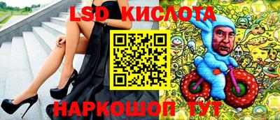 герыч Кингисепп