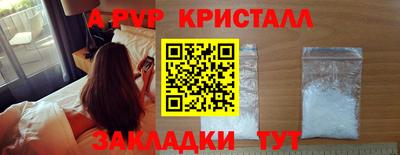 герыч Кингисепп